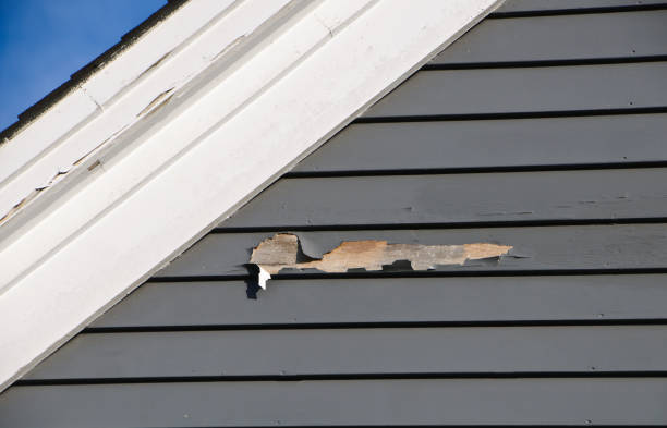 Siding for Multi-Family Homes in Dutch Island, GA